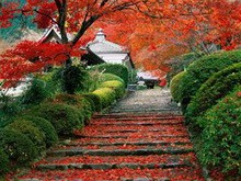浙江临安大明山风景区